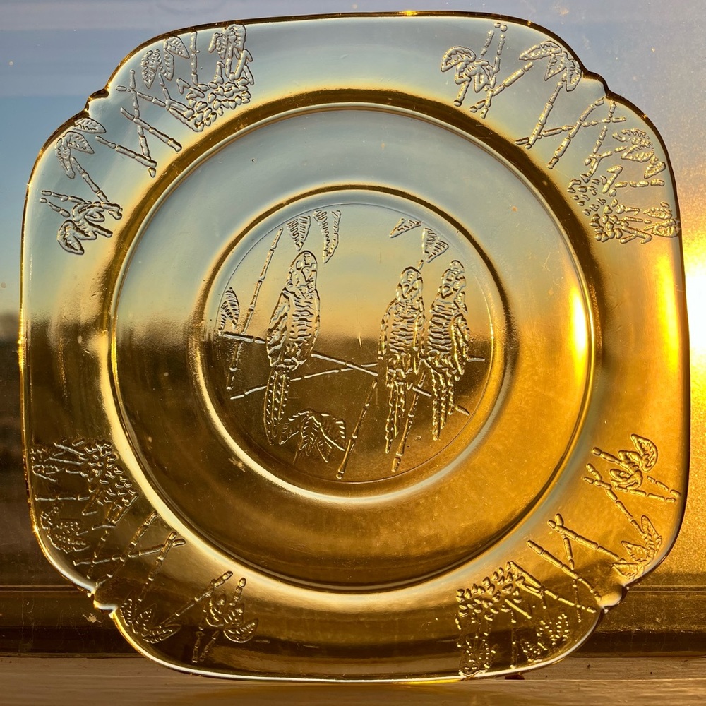 Depression Glass Federal Parrot Pattern